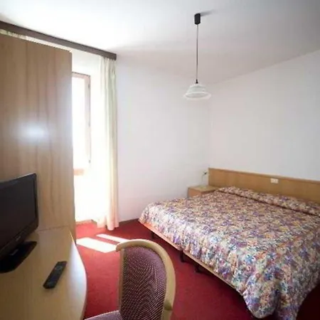 Geier 3*